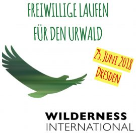 Freiwillige laufen für den Urwald – Spendenlauf 25. Juni 2018